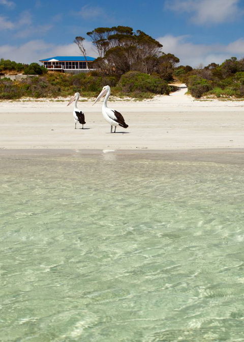 Kangaroo Island Star Beach House - Brisbane 4u 4