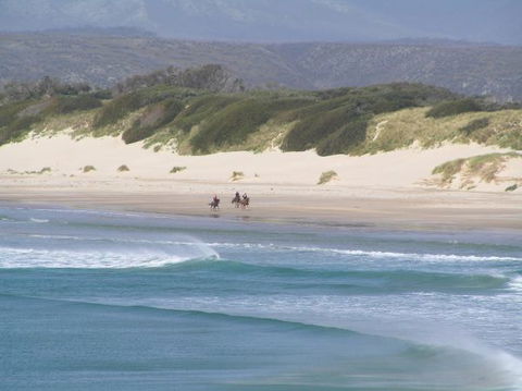 Arties Cottage Accommodation - Brisbane 4u 5