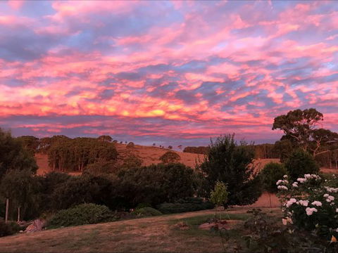 Avaleigh Elms Farmstay - Brisbane 4u 5