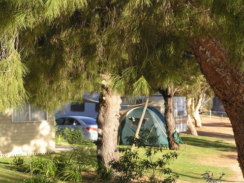 Barmera North Lake Caravan Park - Brisbane Tourism 0