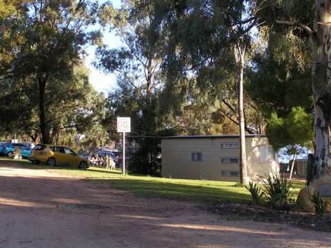 Barmera North Lake Caravan Park - Brisbane Tourism 1