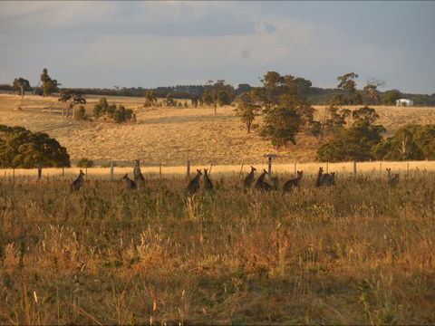 Bunjil Farm - Brisbane 4u 8