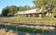 Casuarina Estate - thumb 0