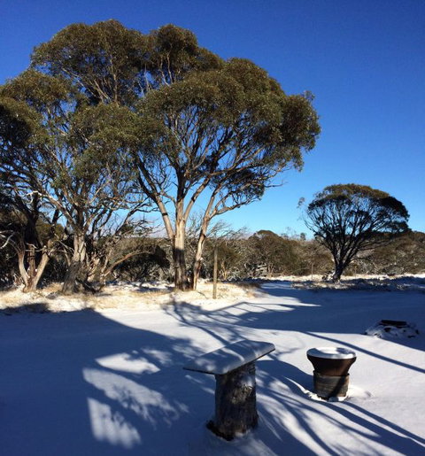 Cloud 9 Alpine Lodge - Tourism Brisbane 9