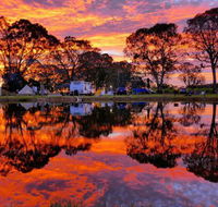 Coonawarra Bush Holiday Park - Tourism Brisbane
