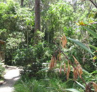 Dunns Creek Downs Nature Stay - Tourism Brisbane