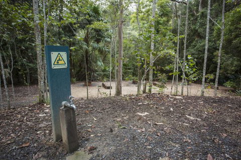 Eungella National Park Camping Ground - Brisbane Tourism 2