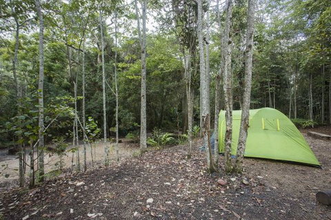 Eungella National Park Camping Ground - Brisbane Tourism 3