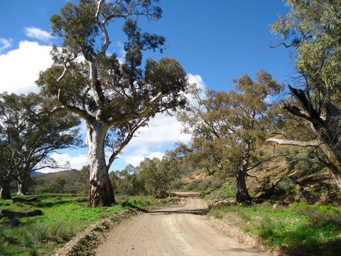 Flinders Bush Retreats - Brisbane Tourism 7