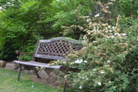 Garden Cottage B And B - Brisbane 4u 4