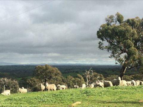 Heathcote Views Bed & Breakfast - Brisbane 4u 5