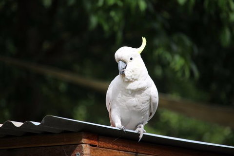 Jamieson Caravan Park - Tourism Brisbane 2