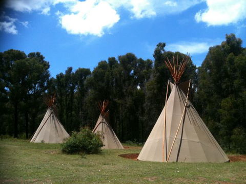 Kinglake Forest Adventures Camp - Tourism Brisbane 0