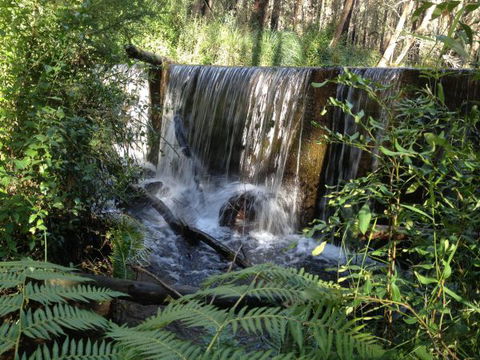 Kinglake Forest Adventures Camp - Tourism Brisbane 1