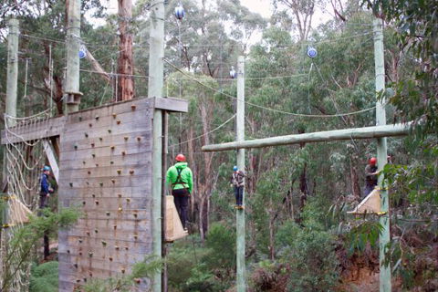 Kinglake Forest Adventures Camp - Tourism Brisbane 2
