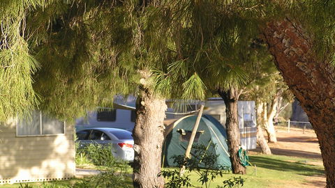 Barmera North Lake Caravan Park - Brisbane Tourism 4