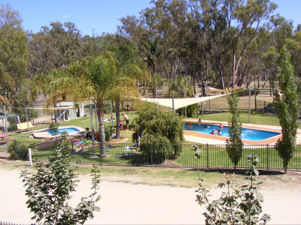 Bearii ACT Brisbane Tourism