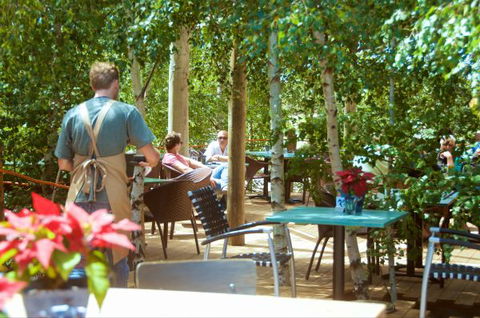 Oakdene Vineyards Guesthouse - Tourism Brisbane 5