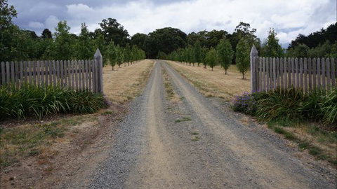 Oakhill Cottage - Brisbane Tourism 7