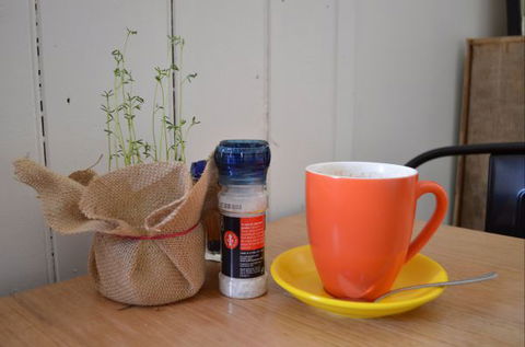 Otway Central - Tourism Brisbane 3