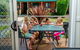 Port Fairy Holiday Park - thumb 4