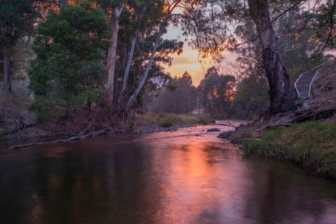 Riverdowns - Brisbane Tourism 1