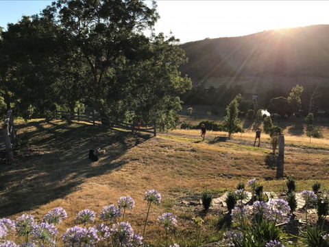 Shearer's Hill - Luxury Farm Stay - Tourism Brisbane 9