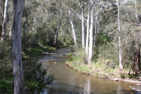 Stockyard Creek - Brisbane 4u 2