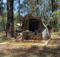 Tall Trees Camping on the Great Ocean Road - Tourism Brisbane