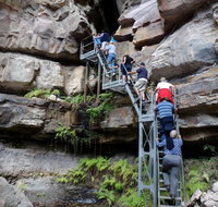 Takarakka Bush Resort Carnarvon Gorge - Tourism Brisbane