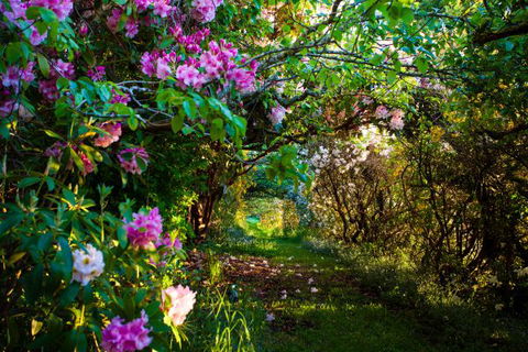 The Pear Walk - Tourism Brisbane 0