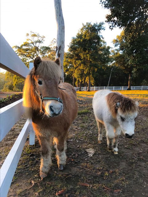 The Woods Farm - Brisbane 4u 3