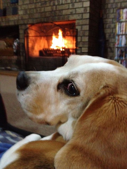 The Retreat On Matthew - Tourism Brisbane 2