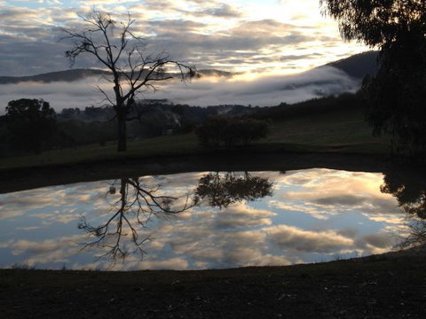 The Black Sparrow - Brisbane Tourism 1