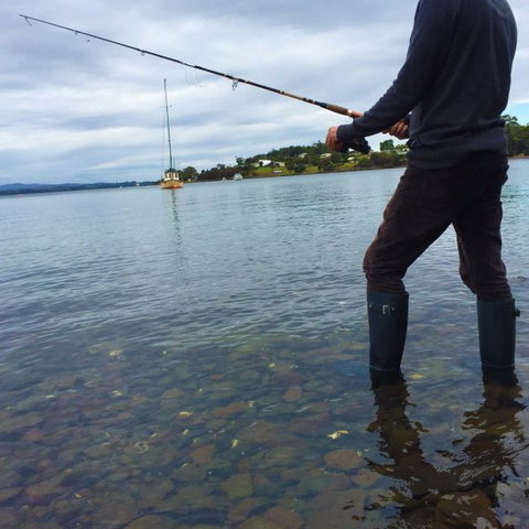 Wingtons Glamping Clarence Point - Tourism Brisbane 3