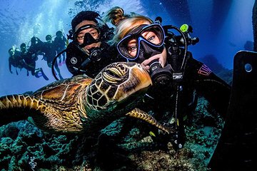 Aussie Blokes Travel - Brisbane 4u 1