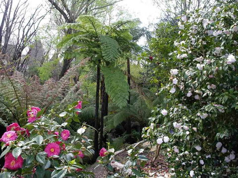 Adelaide Hills B&B Accommodation - Brisbane 4u 3