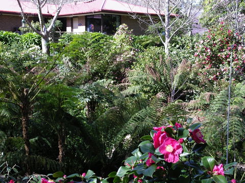Adelaide Hills B&B Accommodation - Brisbane 4u 6