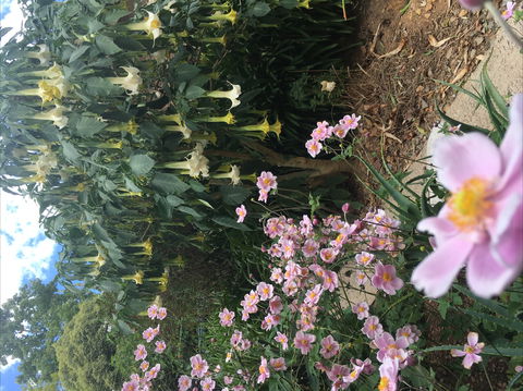 Adelaide Hills B&B Accommodation - Brisbane 4u 7