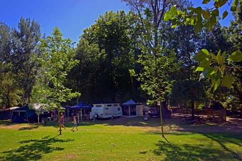 Ardern's Caravan Park Myrtleford - Tourism Brisbane 0