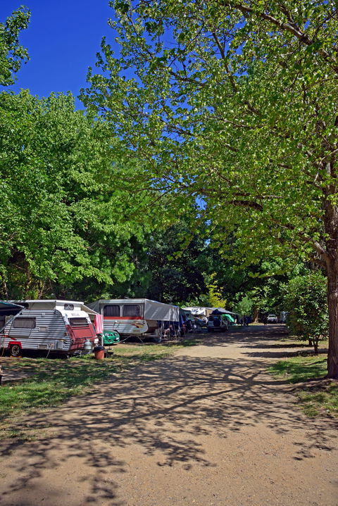 Ardern's Caravan Park Myrtleford - Tourism Brisbane 1