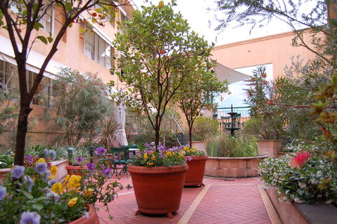 Arts Hotel Sydney - Tourism Brisbane 2