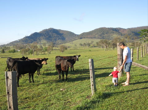 Barrington Hideaway- River Cottages - Tourism Brisbane 6