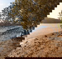 Beach campground - Tourism Brisbane