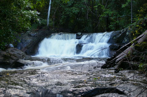 Bellthorpe Stays - Nature's Retreat - Tourism Brisbane 5