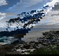Binalong Bay Beach Shack - Brisbane Tourism