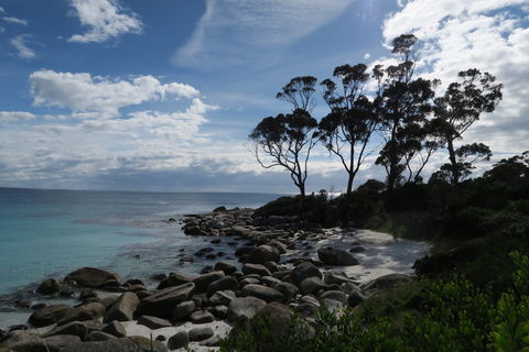 Binalong Bay Beach Shack - Tourism Brisbane 0