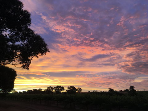 Container65 - Tourism Brisbane 5