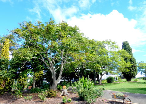 Forest Lodge Highfields - Tourism Brisbane 3
