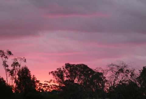 Forest Lodge Highfields - Tourism Brisbane 4